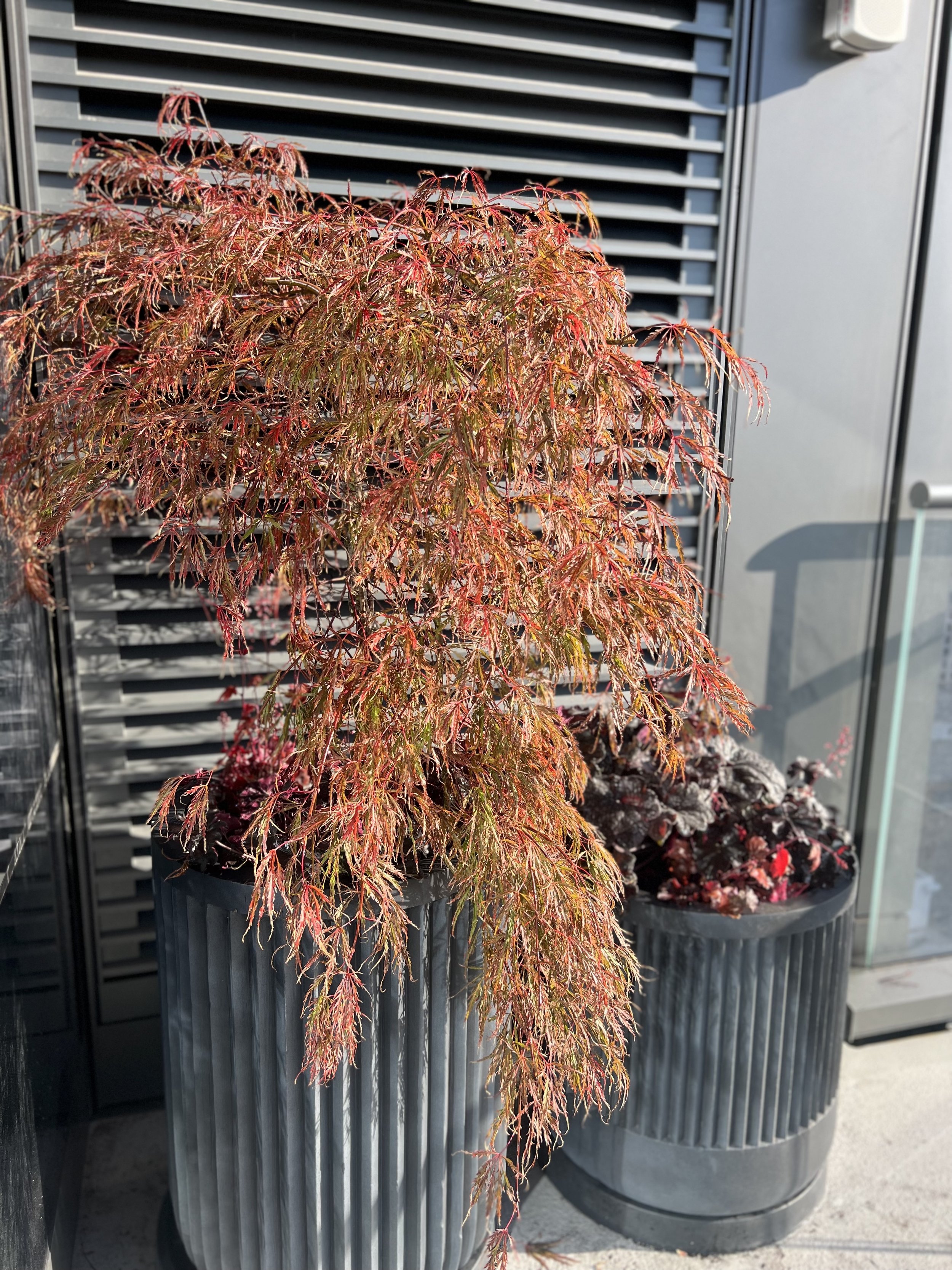 Outdoor Containers