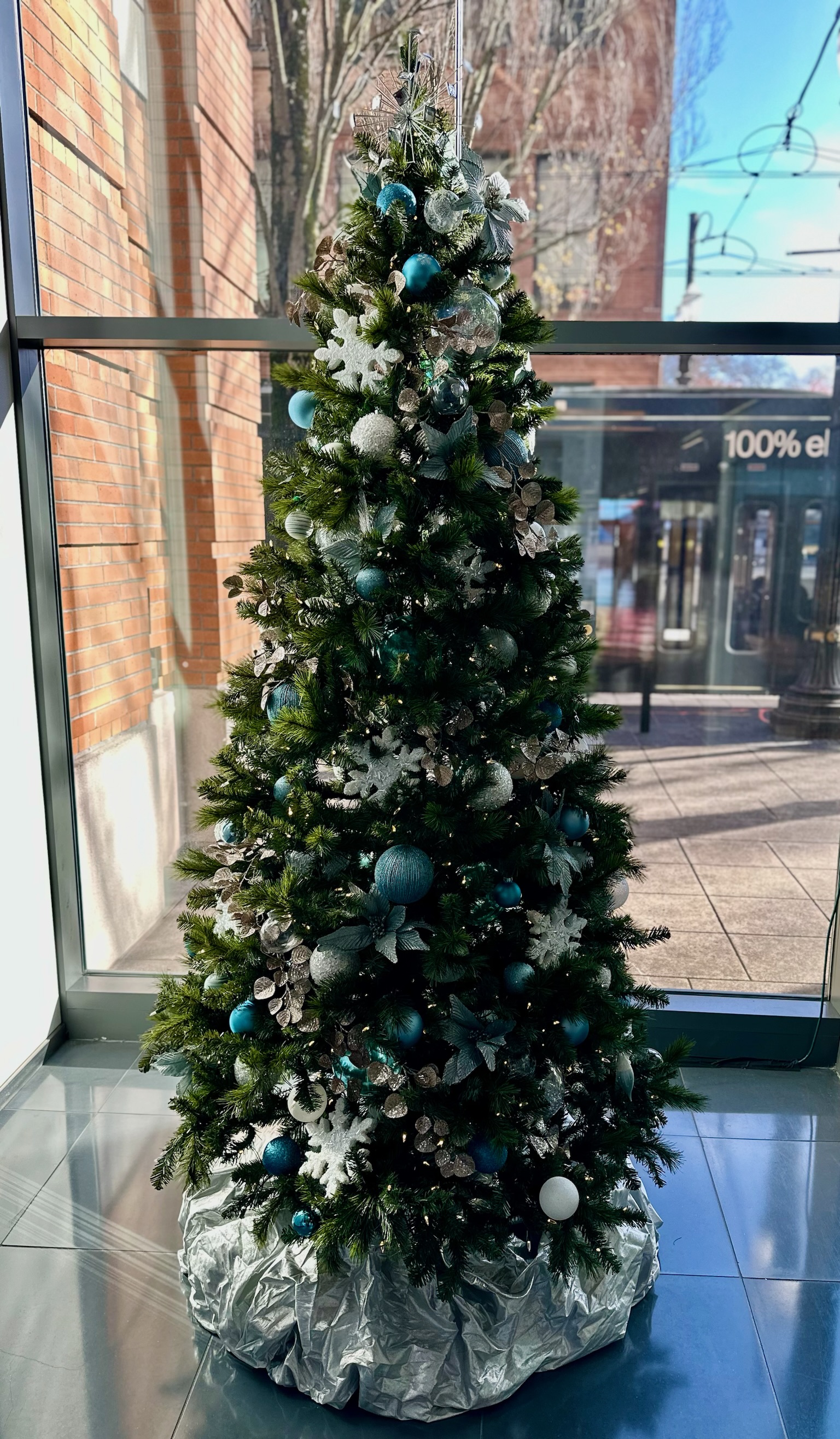 Christmas Trees Service
