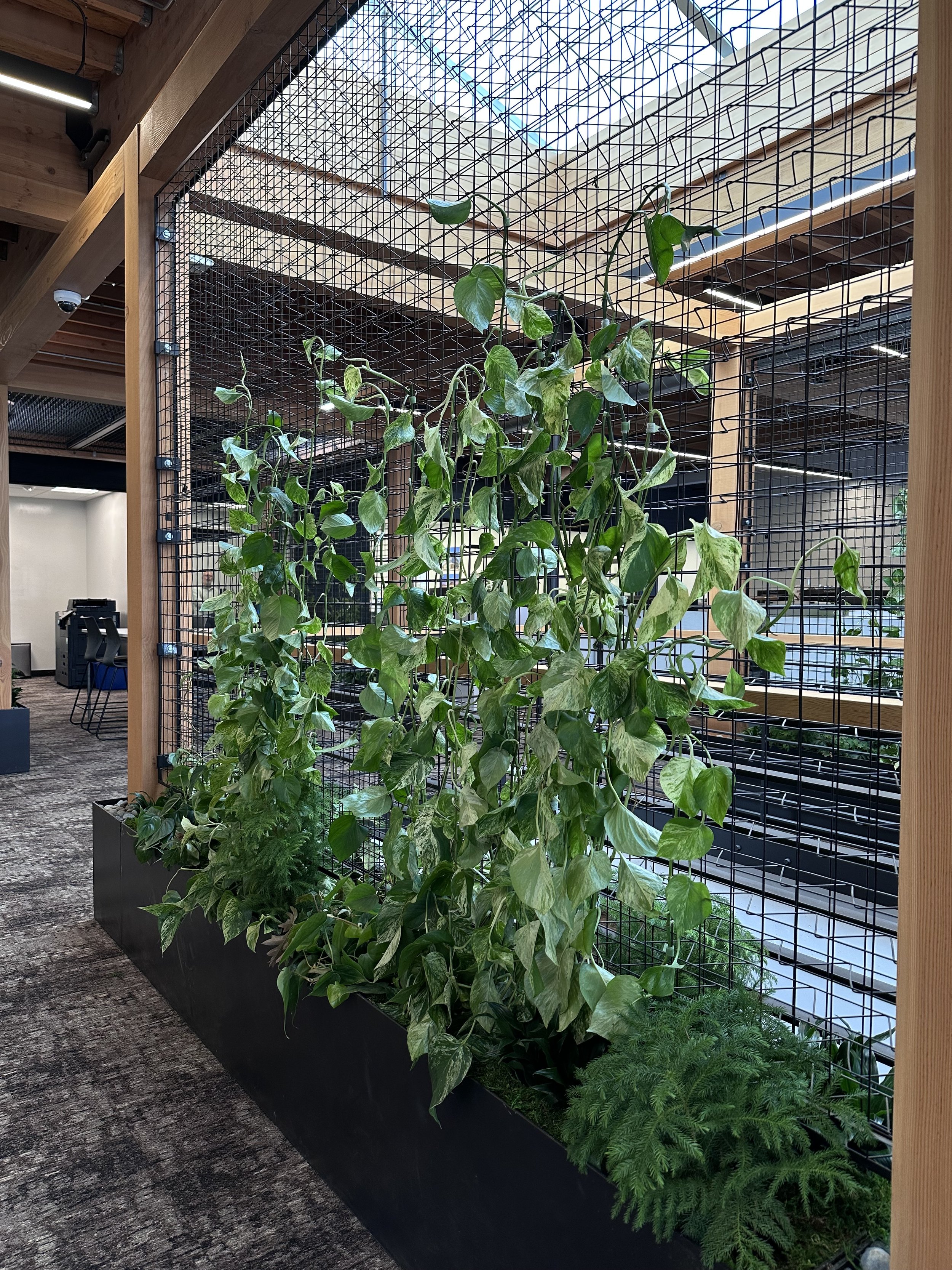 Green Walls & Replica Plants