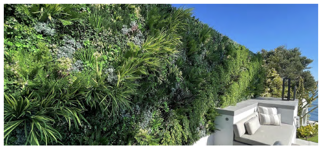 Lush outdoor green wall installation