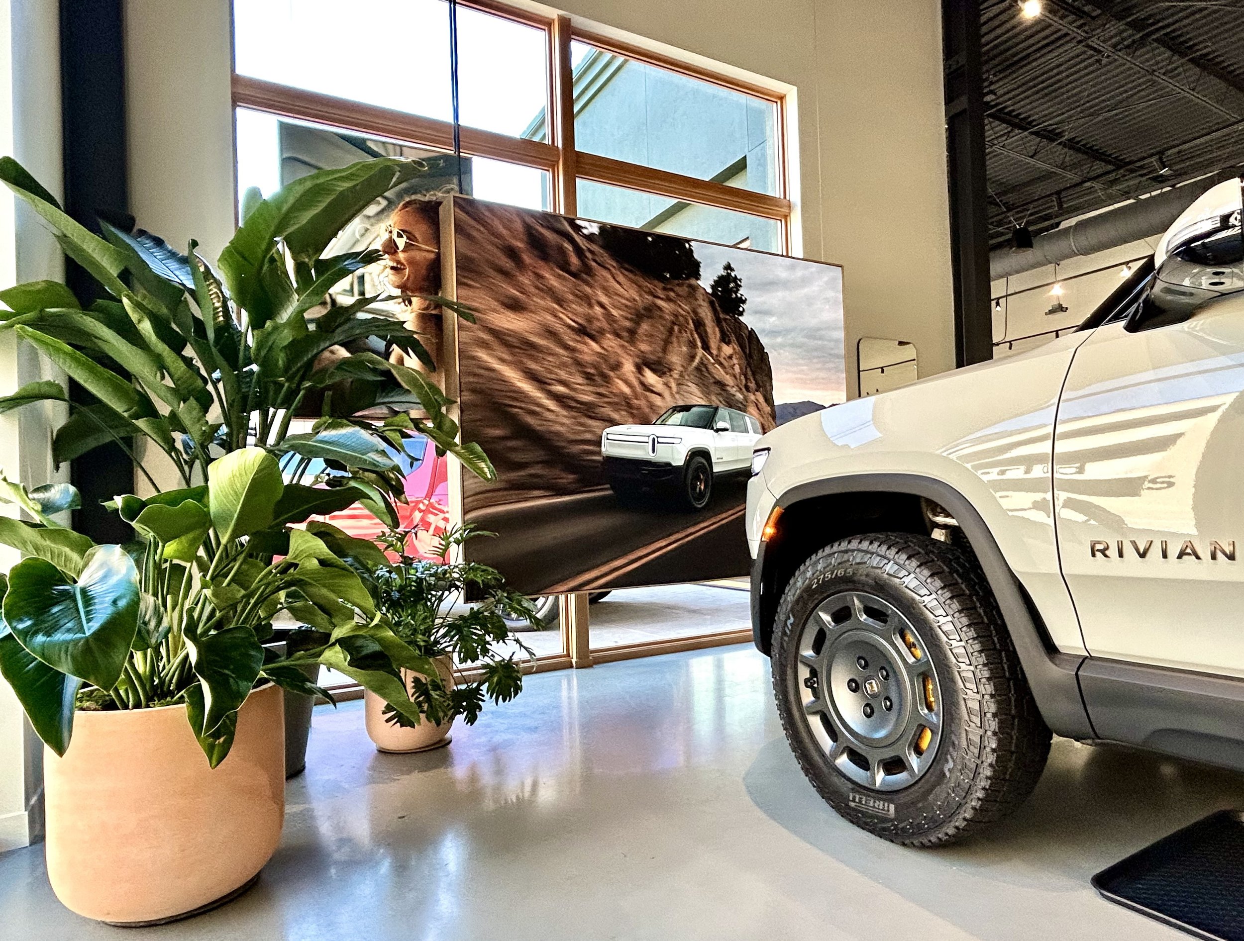 Plant care services in automotive showroom