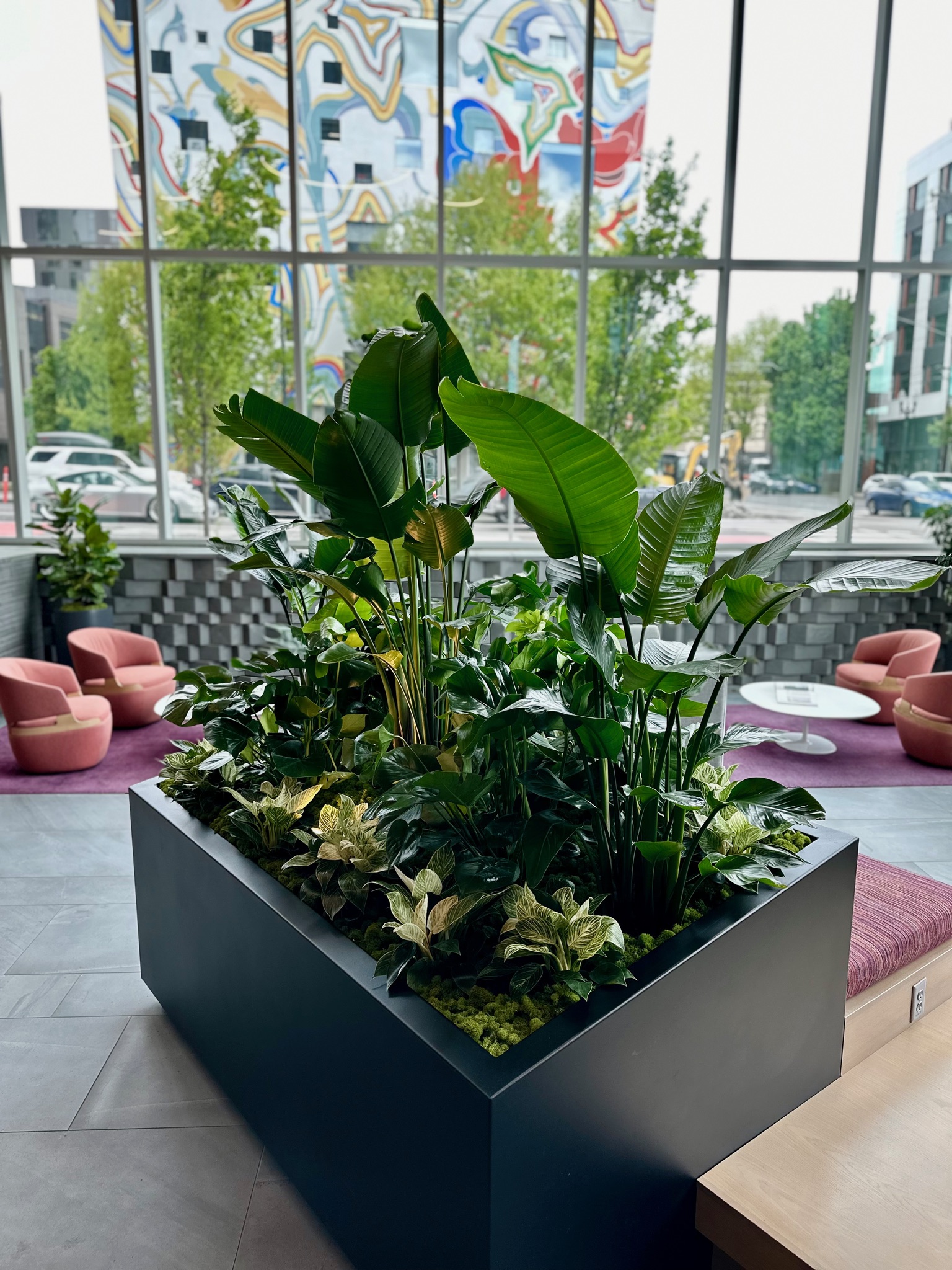 Plant Care Services
