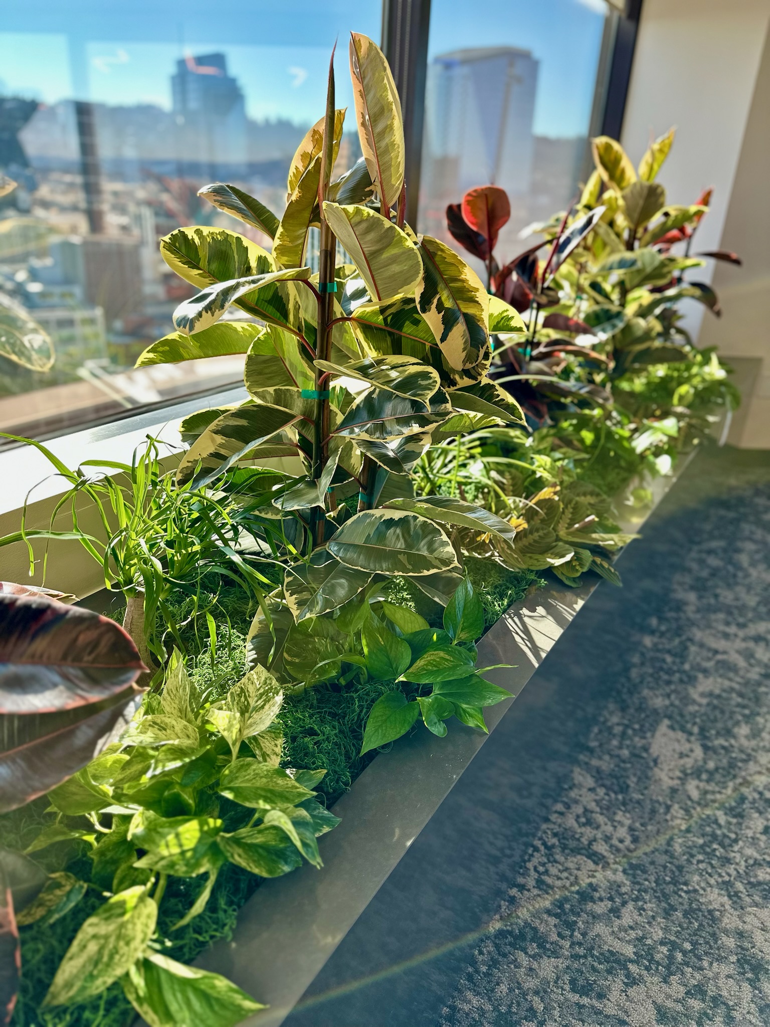 Plant Design Services