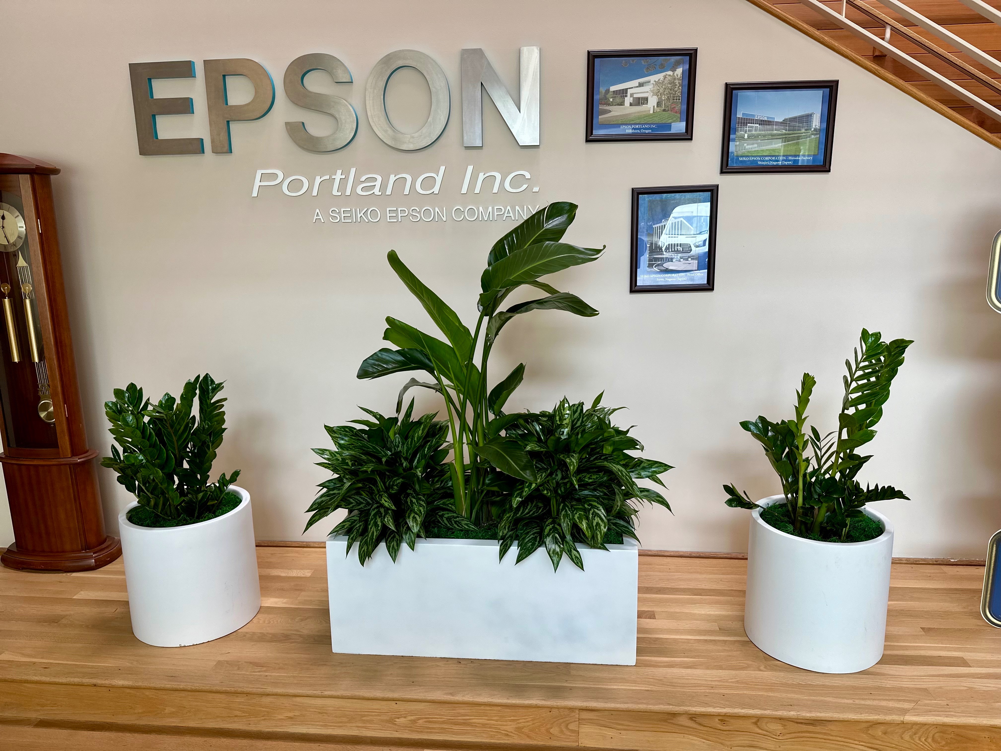 Epson office reception area with tropical plants