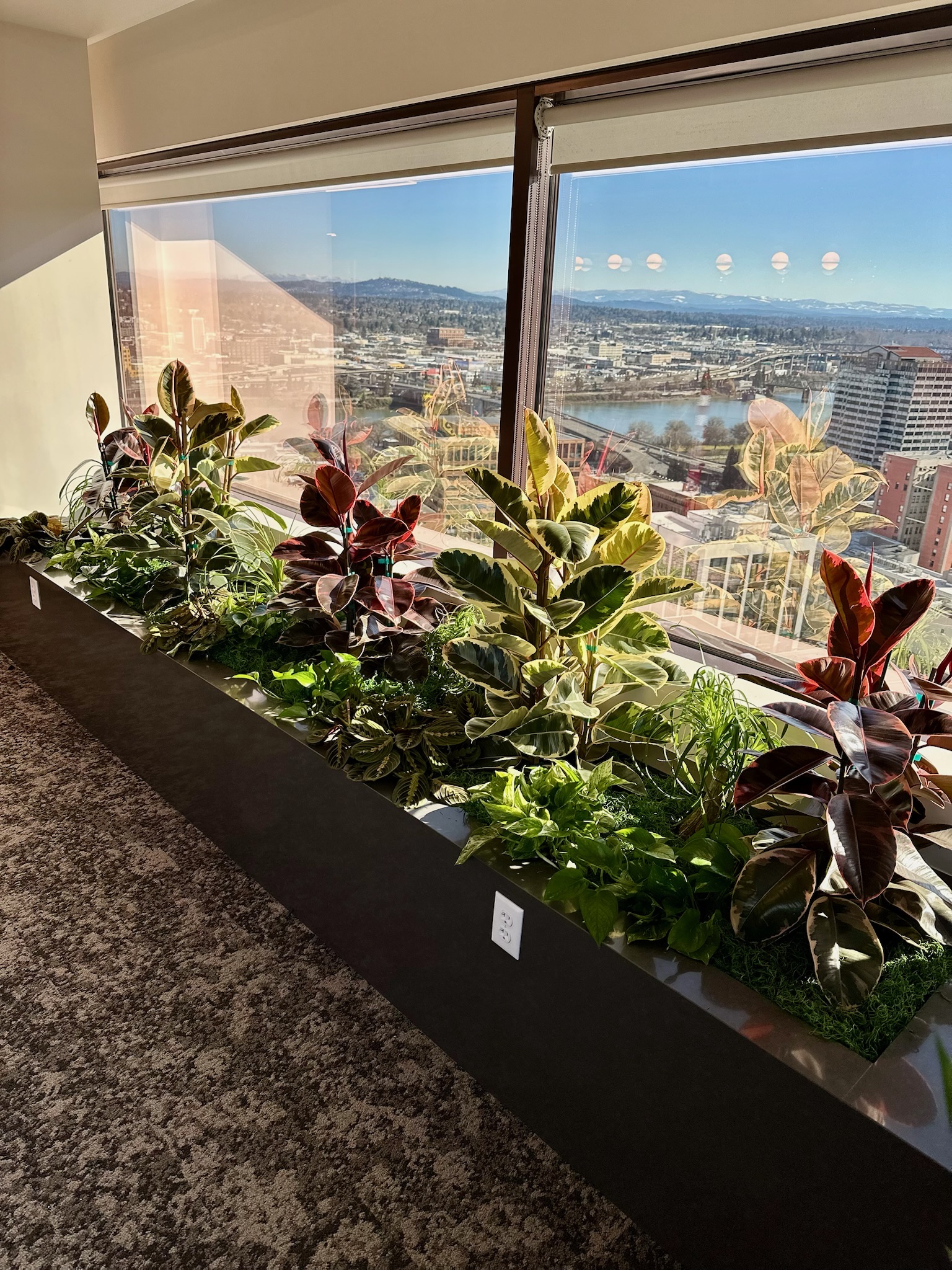 High-rise office windowsill plant installation