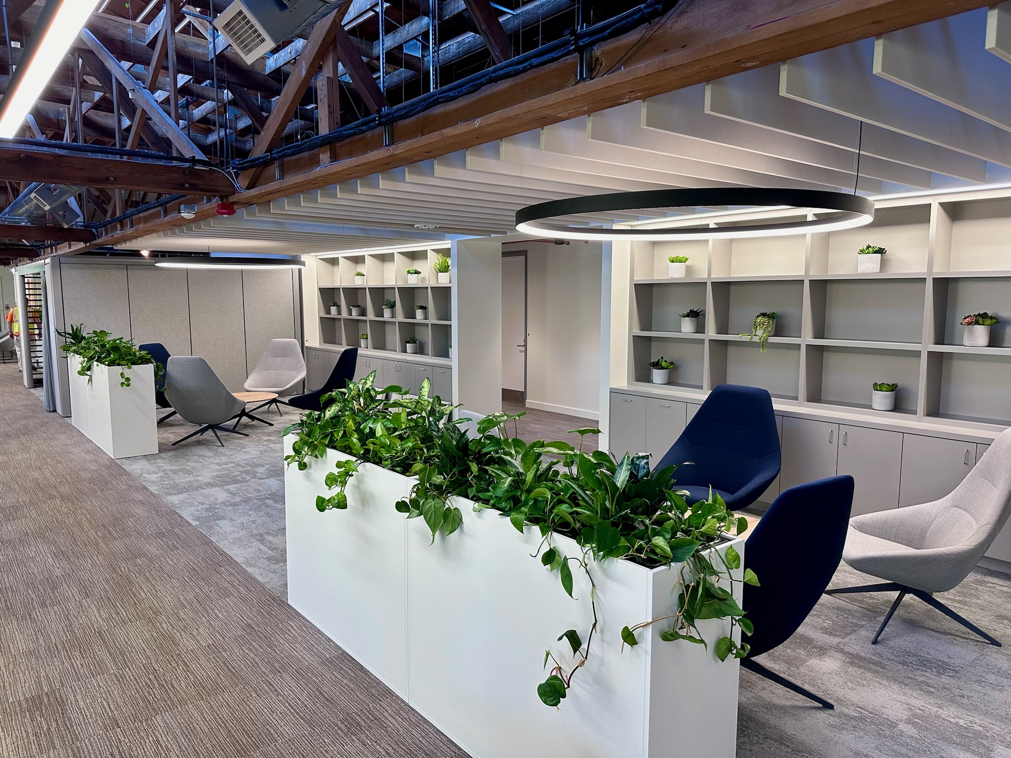 Modern office with modular planters and trailing plants