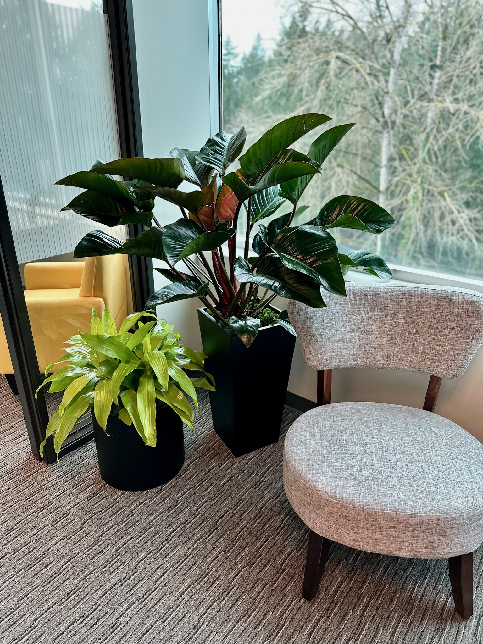 Corporate office waiting area with plants