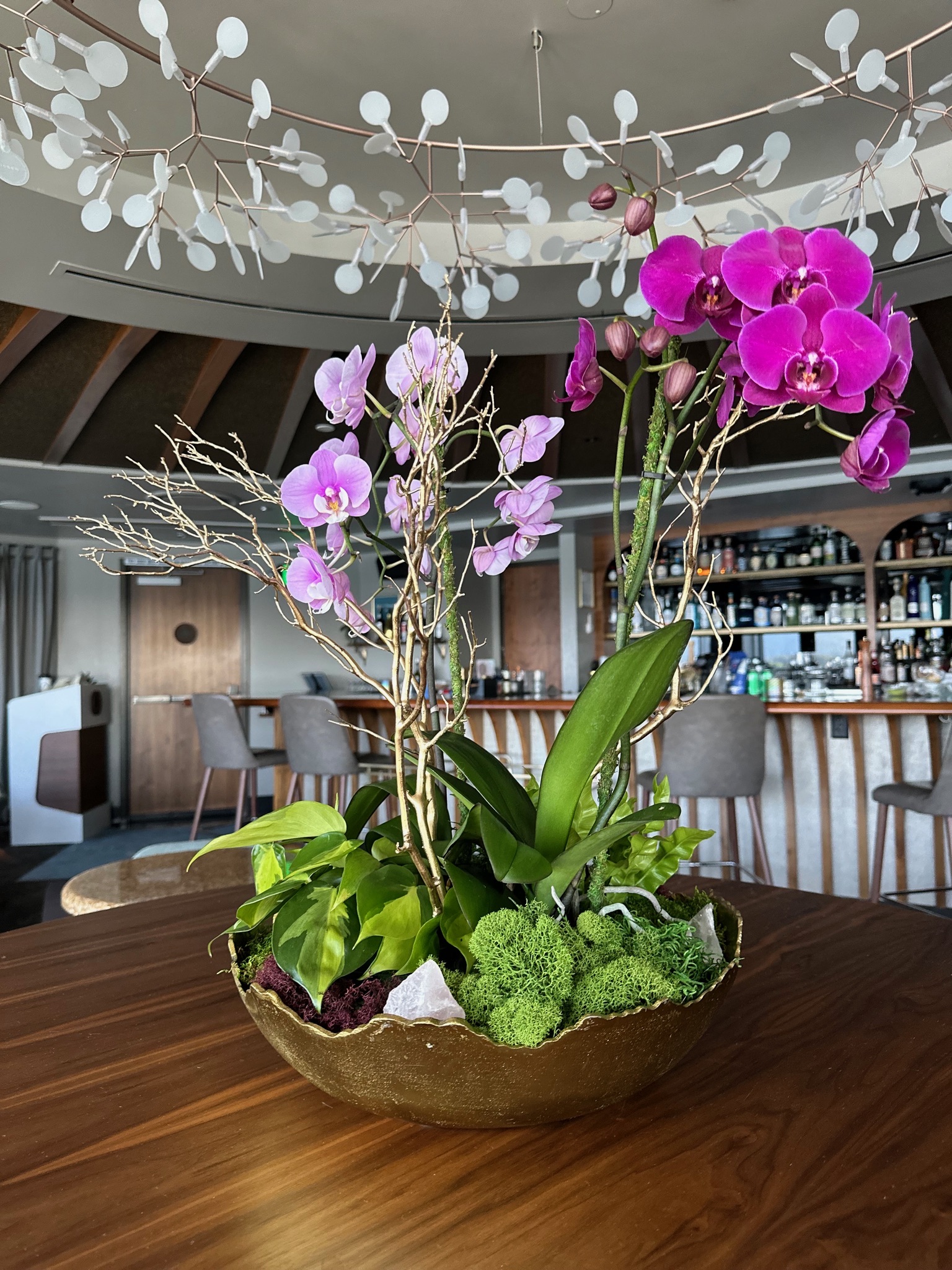 Sophisticated restaurant orchid arrangement
