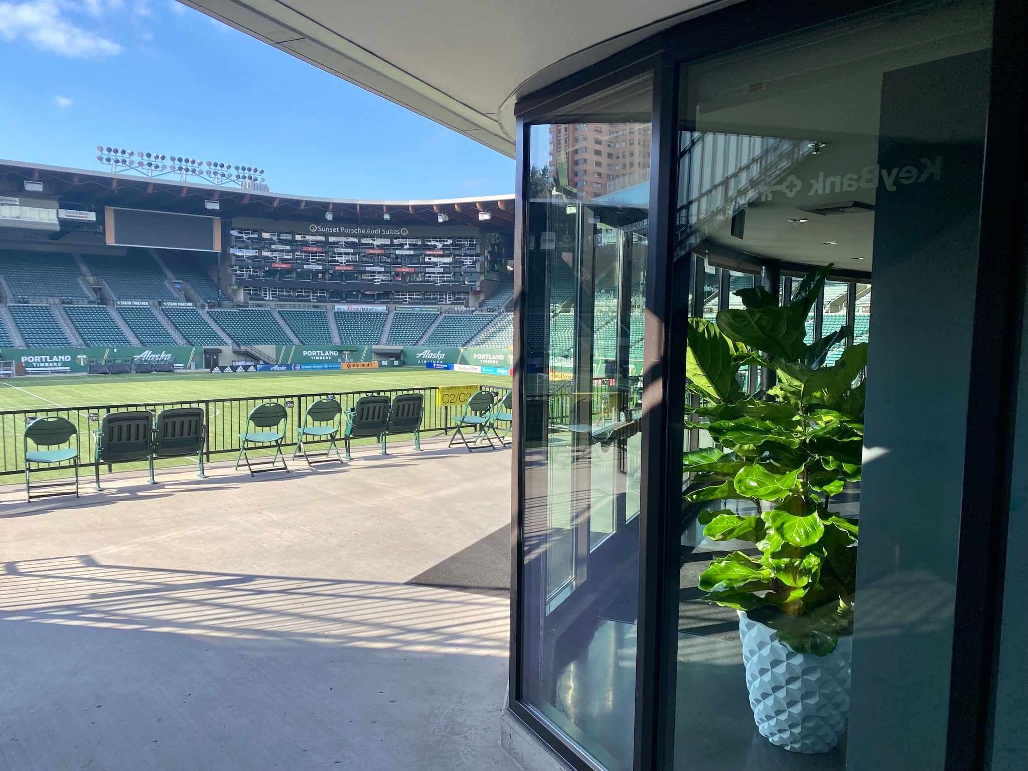 Stadium premium seating with fiddle leaf fig